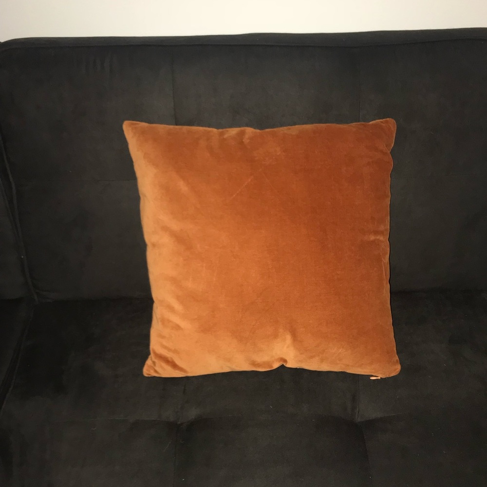Velvet Throw Pillow